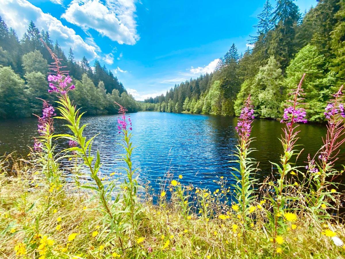 B&B Am Oker, Altenau, Harz Altenau  Dış mekan fotoğraf