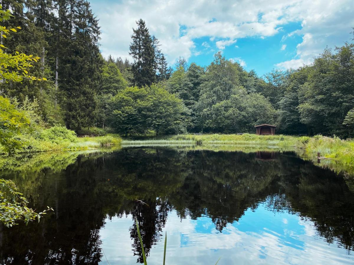 B&B Am Oker, Altenau, Harz Altenau  Dış mekan fotoğraf