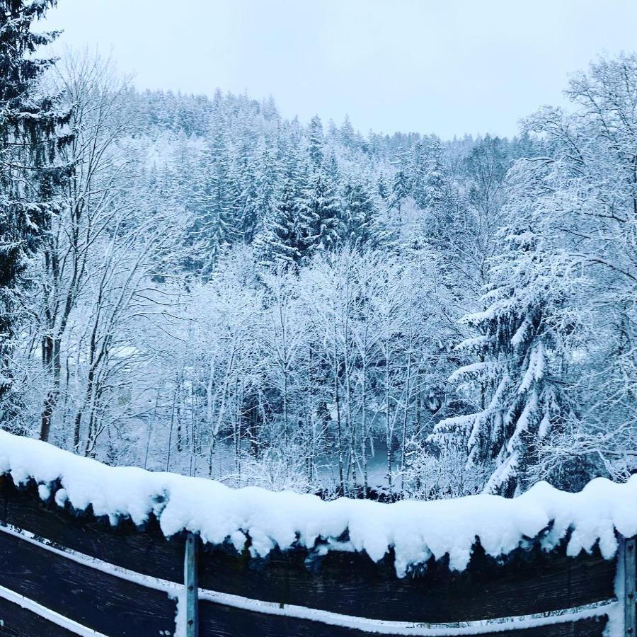 B&B Am Oker, Altenau, Harz Altenau  Dış mekan fotoğraf