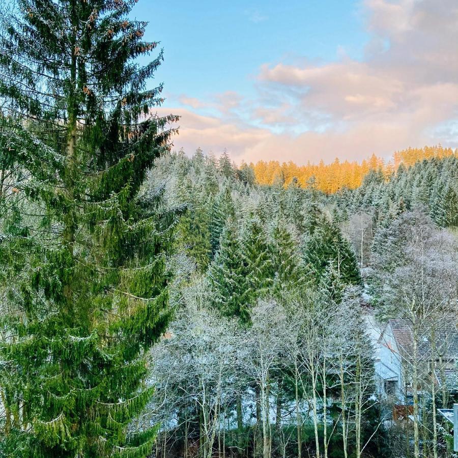 B&B Am Oker, Altenau, Harz Altenau  Dış mekan fotoğraf