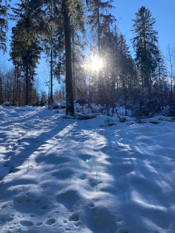 B&B Am Oker, Altenau, Harz Altenau  Dış mekan fotoğraf